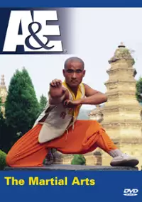 Plakat filmu Mystic Origins of the Martial Arts