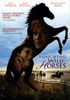 plakat filmu Jak dzikie konie