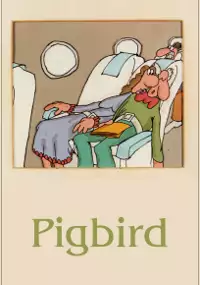 Plakat filmu Pig Bird