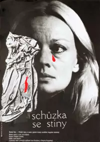 Plakat filmu Spotkanie z cieniem