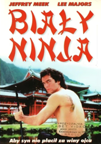 Plakat serialu Raven