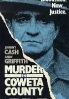 plakat filmu Morderstwo w Coweta Country