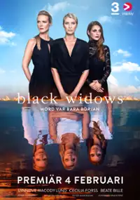Plakat serialu Czarne wdowy