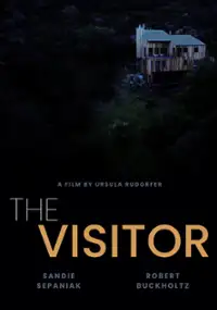 Plakat filmu The Visitor
