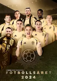 Plakat filmu Fotbollsåret 2024