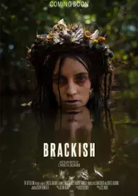 Plakat filmu Brackish