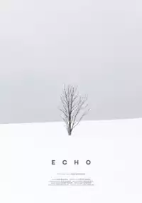 Plakat filmu Echo