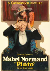 Plakat filmu Pinto