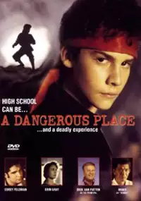 Plakat filmu Niebezpieczne miejsce