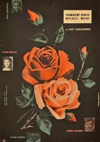 Plakat filmu Prawdziwy koniec wielkiej wojny