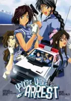 plakat filmu You're Under Arrest Specials