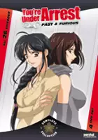 plakat filmu You're Under Arrest: Fast & Furious