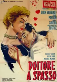 Plakat filmu Doctor at Large