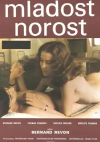 Plakat filmu Les turlupins