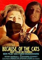plakat filmu Z powodu kotów