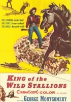 plakat filmu Król dzikich mustangów