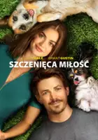 plakat filmu Szczenięca miłość