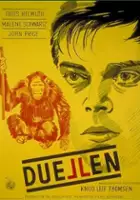 plakat filmu Duellen
