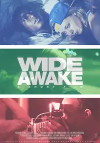 Plakat filmu Wide Awake