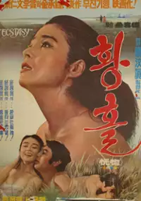 Plakat filmu Hwanghol