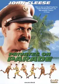 Plakat filmu Parada szeregowców