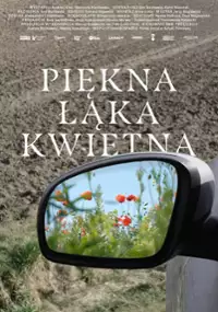 Piękna łąka kwietna