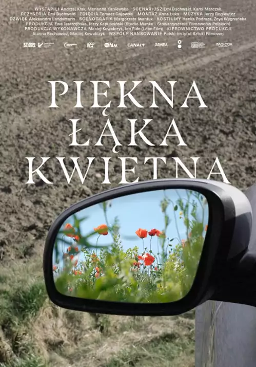 plakat filmu Piękna łąka kwietna