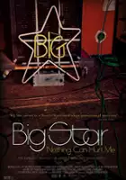 Amy J. Boyd / Big Star: Nothing Can Hurt Me