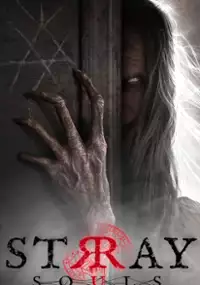 Plakat gry Stray Souls
