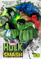 plakat filmu Hulk i agenci M.I.A.Z.G.I.