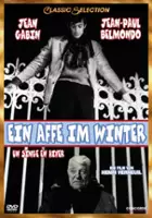 plakat filmu Małpa w zimie