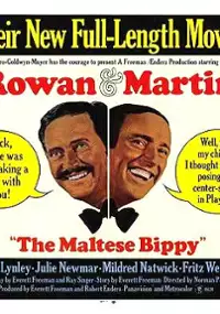 Plakat filmu The Maltese Bippy