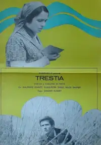 Plakat filmu Trzcina