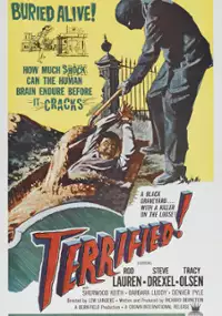 Plakat filmu Terrified