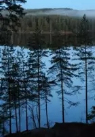 Herbert Hunger / Wood of Value