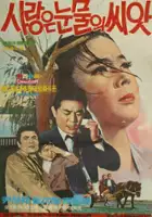 plakat filmu Salangeun nunmului siat