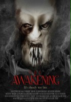 plakat filmu The Awakening