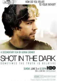 Plakat filmu Shot in the Dark