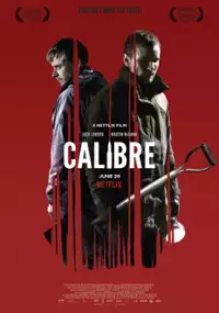Plakat filmu Kaliber