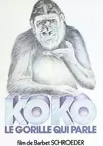 Plakat filmu Koko, le gorille qui parle