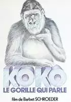 plakat filmu Koko, le gorille qui parle