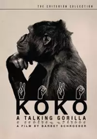 Plakat filmu Koko, le gorille qui parle