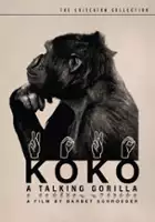 plakat filmu Koko, le gorille qui parle