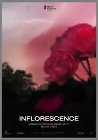 Plakat filmu Inflorescence