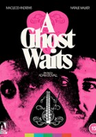 plakat filmu A Ghost Waits