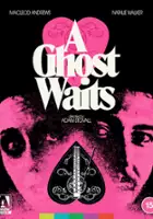 Adam Stovall / A Ghost Waits