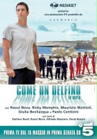 plakat filmu Come un delfino - La serie