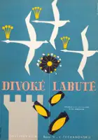Dzikie łabędzie