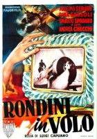 plakat filmu Rondini in volo