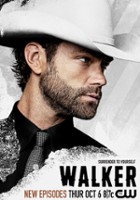 plakat filmu Walker